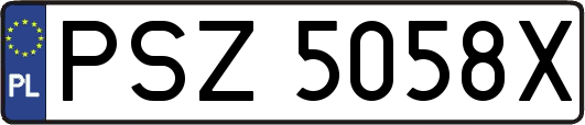 PSZ5058X
