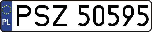 PSZ50595