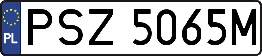PSZ5065M