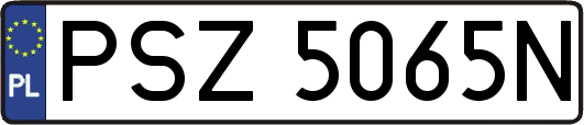 PSZ5065N