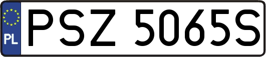 PSZ5065S