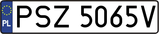 PSZ5065V