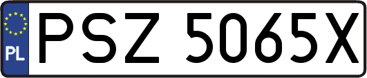 PSZ5065X