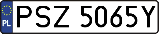 PSZ5065Y