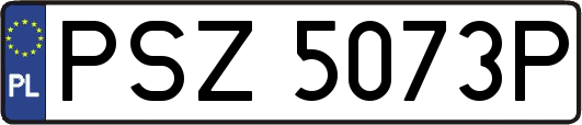 PSZ5073P