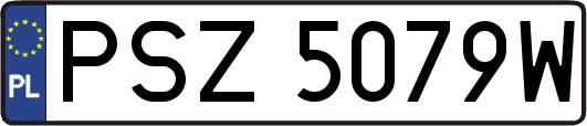 PSZ5079W