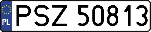 PSZ50813