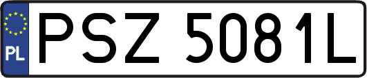 PSZ5081L