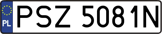 PSZ5081N