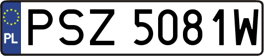 PSZ5081W