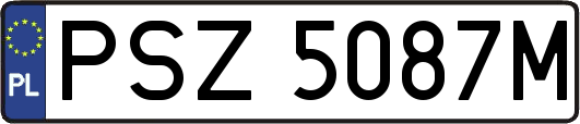 PSZ5087M
