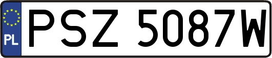 PSZ5087W