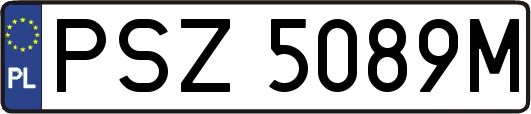 PSZ5089M