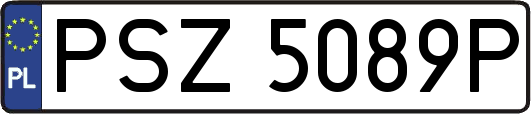 PSZ5089P