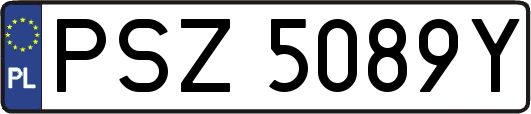 PSZ5089Y