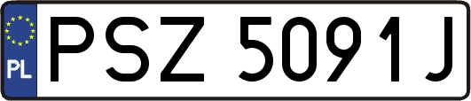PSZ5091J