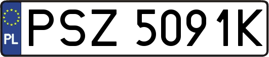 PSZ5091K