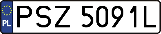 PSZ5091L
