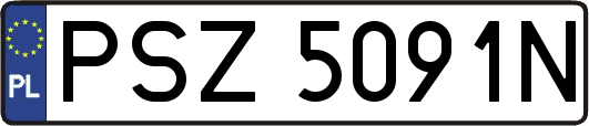 PSZ5091N