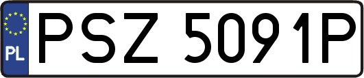 PSZ5091P