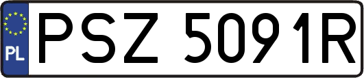 PSZ5091R