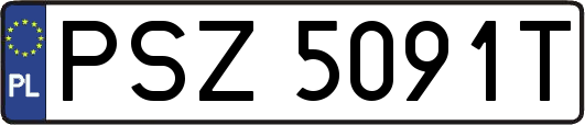 PSZ5091T