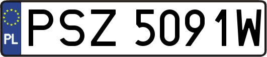 PSZ5091W