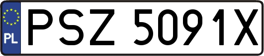 PSZ5091X