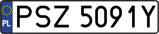 PSZ5091Y