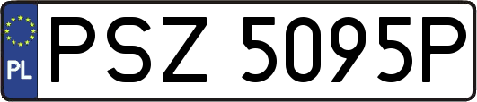 PSZ5095P