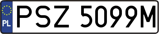 PSZ5099M