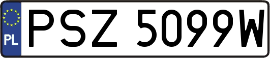 PSZ5099W