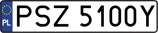 PSZ5100Y