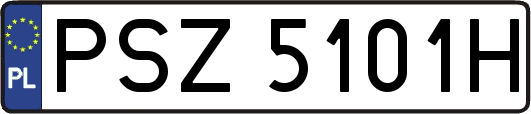 PSZ5101H