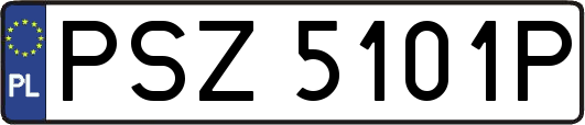 PSZ5101P