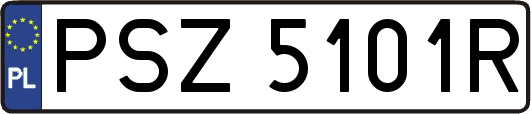PSZ5101R