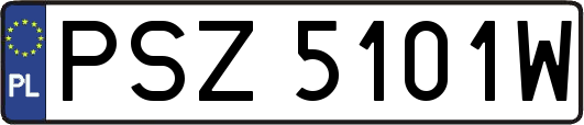 PSZ5101W