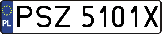 PSZ5101X