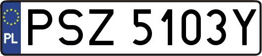 PSZ5103Y