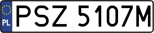 PSZ5107M