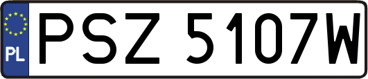 PSZ5107W