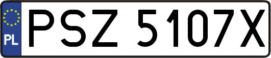 PSZ5107X