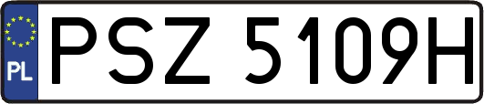 PSZ5109H