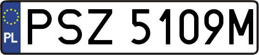 PSZ5109M