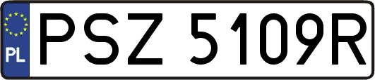 PSZ5109R