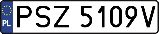 PSZ5109V