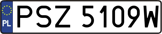 PSZ5109W