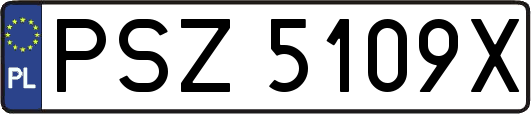 PSZ5109X