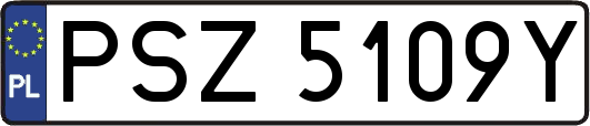 PSZ5109Y