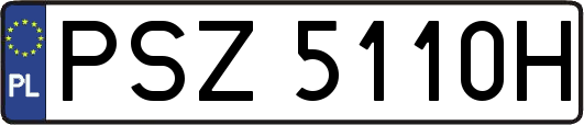 PSZ5110H